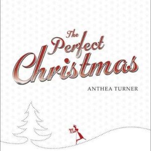 The Perfect Christmas