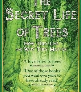 The Secret Life Of Trees: How They Live And Why They Matter