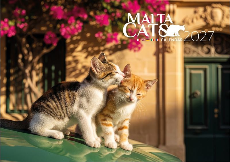 BDL CALENDARS 2027 A4 CATS