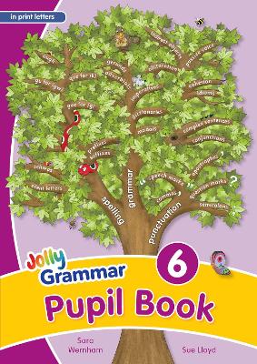 Grammar 6 Pupil Book: In Print Letters (British English Edition)