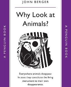 Why Look At Animals?
