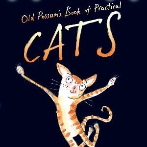 Old Possum's Book Of Practical Cats: With Illustrations By Rebecca Ashdown