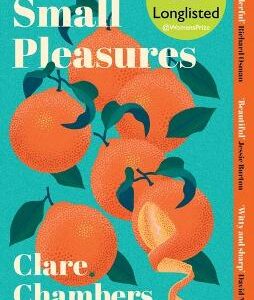Small Pleasures: Longlisted For The Women's Prize For Fiction