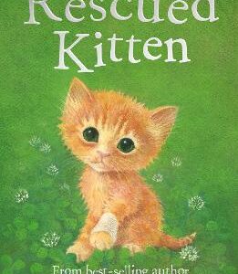 The Rescued Kitten
