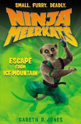 Escape From Ice Mountain