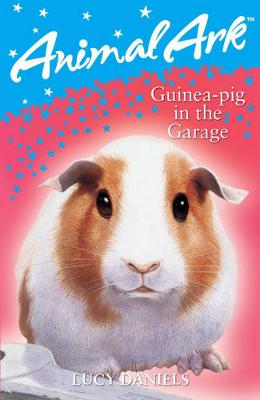 Guinea-Pig In The Garage