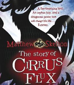 The Story Of Cirrus Flux