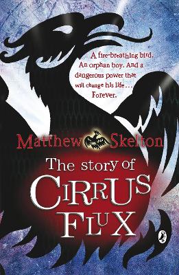 The Story Of Cirrus Flux