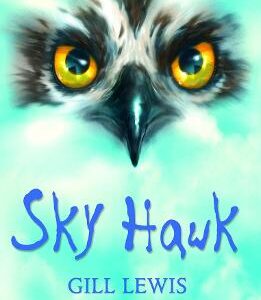 Rollercoasters: Sky Hawk