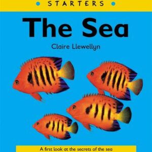 The Sea