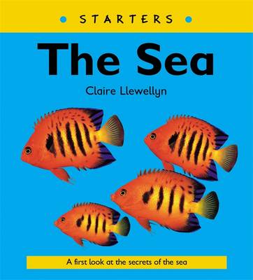 The Sea