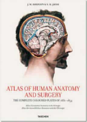 Bourgery, Atlas Of Anatomy